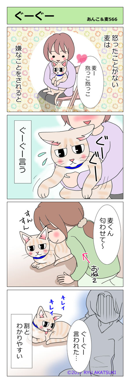 あんこ＆麦STORY566