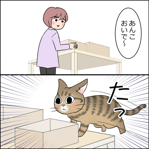 あんこ&麦STORY2074c
