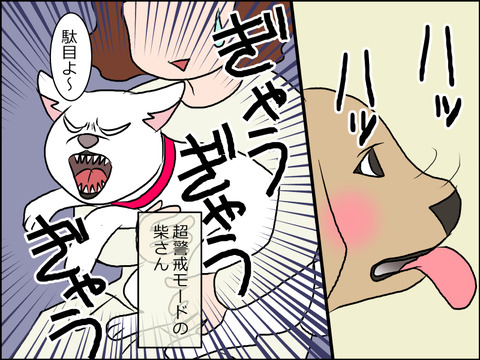 あんこ＆麦STORY1588c