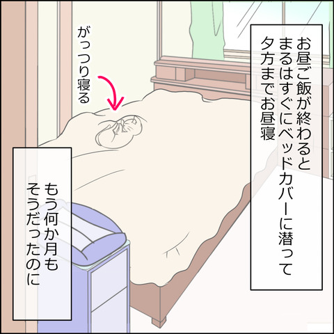 あんこ&麦STORY2420a