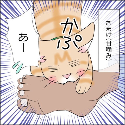 あんこ＆麦STORY1803e