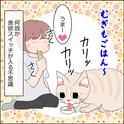 あんこ＆麦STORY2348d