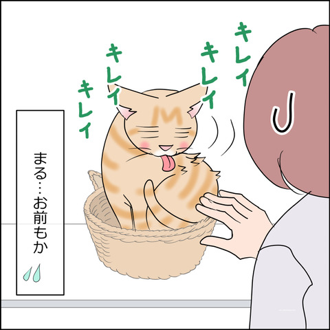 あんこ＆麦STORY2449d