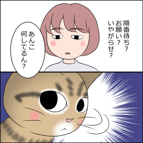 あんこ&麦STORY2419c