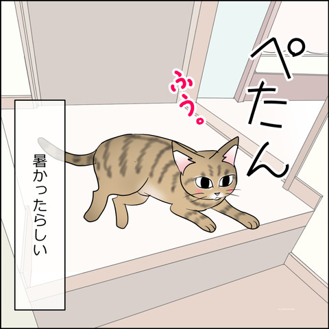 あんこ＆麦STORY2452d
