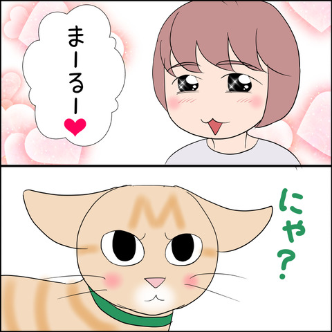 あんこ&麦STORY2191c