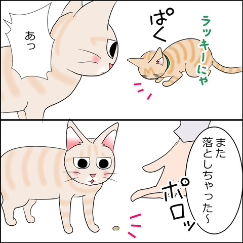 あんこ＆麦STORY2270e