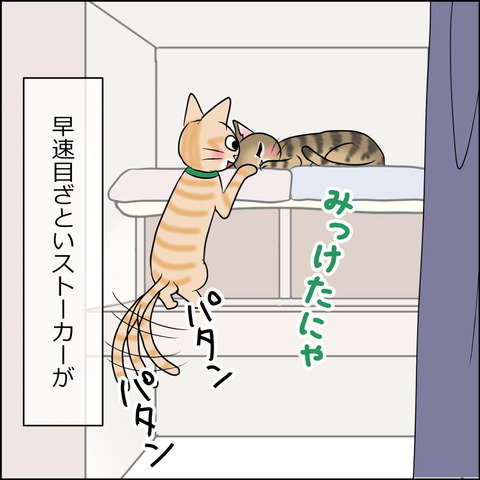 あんこ＆麦STORY1909c