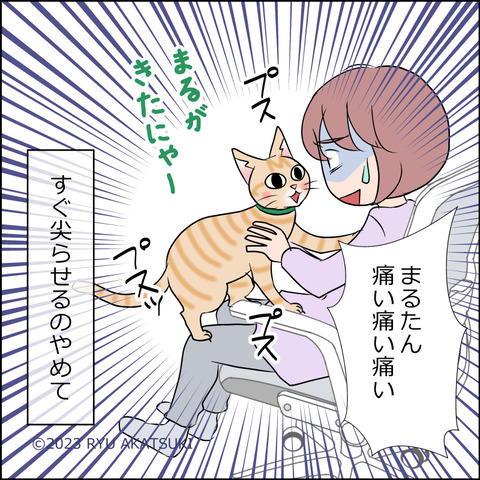 あんこ＆麦STORY1875d