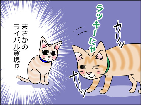 あんこ&麦STORY1508c