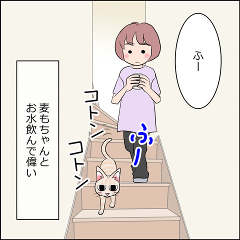 あんこ&麦STORY2116d