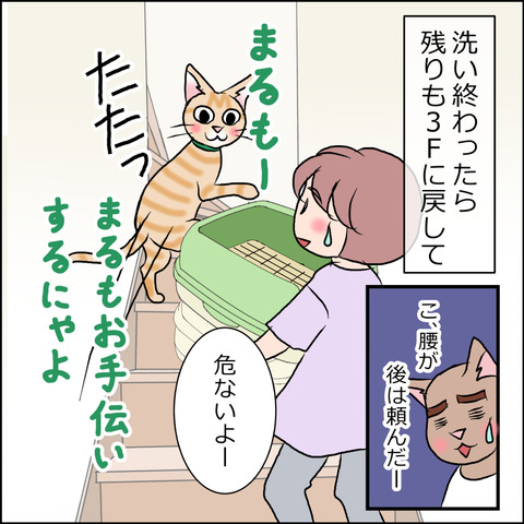 あんこ&麦STORY1673c