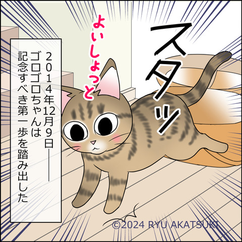 nekokita013d