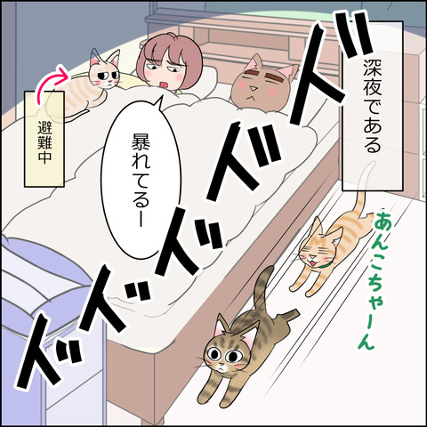 あんこ＆麦STORY2197A