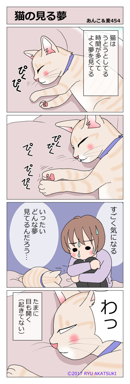 あんこ&麦STORY454