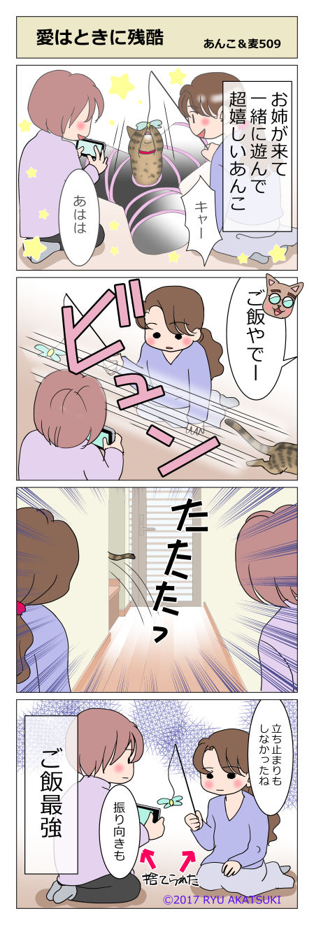 あんこ&麦STORY509