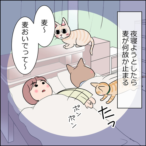 あんこ&麦STORY1772a