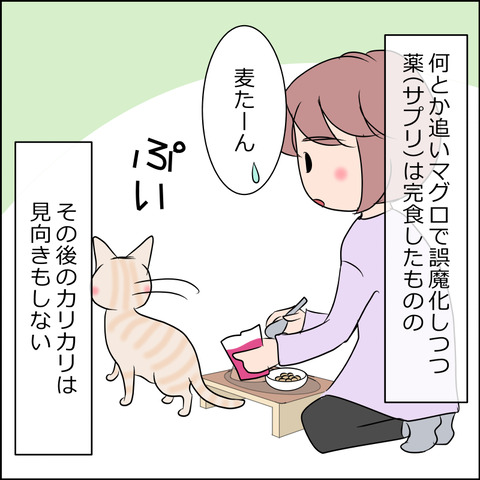 あんこ＆麦kenko90a