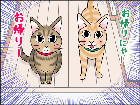 あんこ&麦STORY1516b