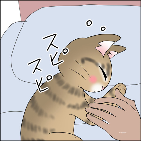 あんこ&麦STORY2470c