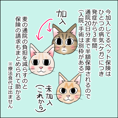 あんこ&麦kenko73c