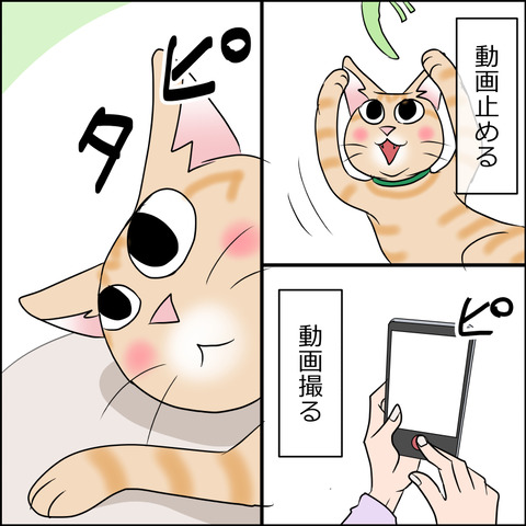 あんこ＆麦STORY1904c