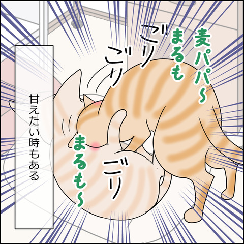 あんこ＆麦STORY2025c