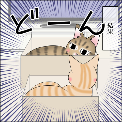 あんこ&麦STORY1952b