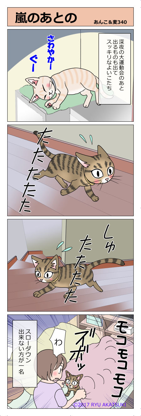 あんこ&麦STORY340