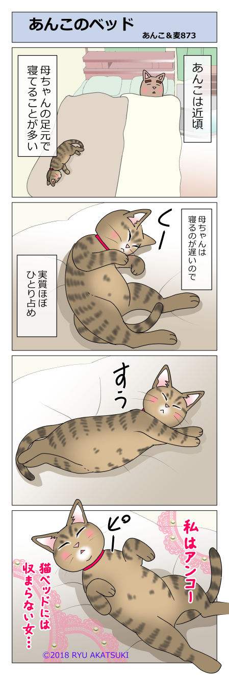 あんこ＆麦STORY873