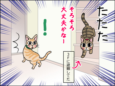あんこ&麦STORY1550c