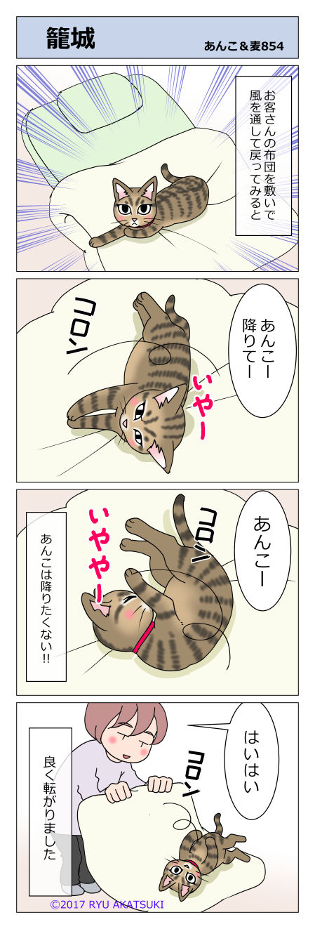 あんこ＆麦STORY854