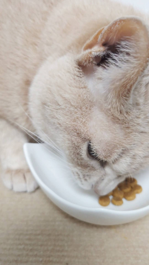 Screenshot_20250705-175153