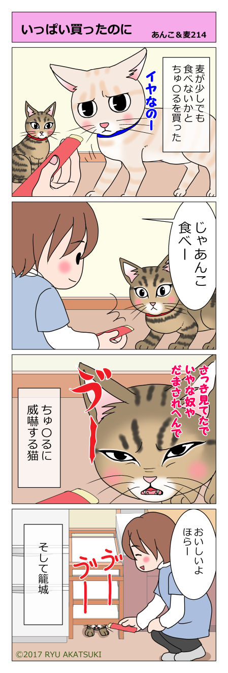あんこ&麦STORY214