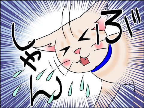 あんこ&麦STORY1571c