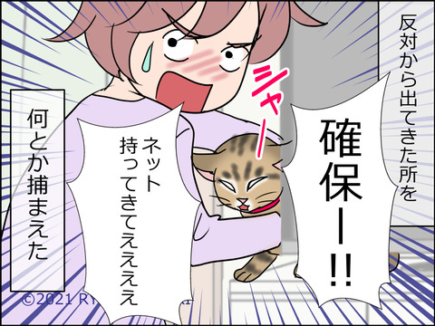 あんこ&麦STORY1479d