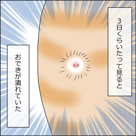 あんこ＆麦kenko53b