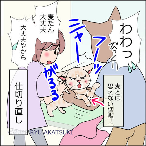 あんこ&麦STORY1669d