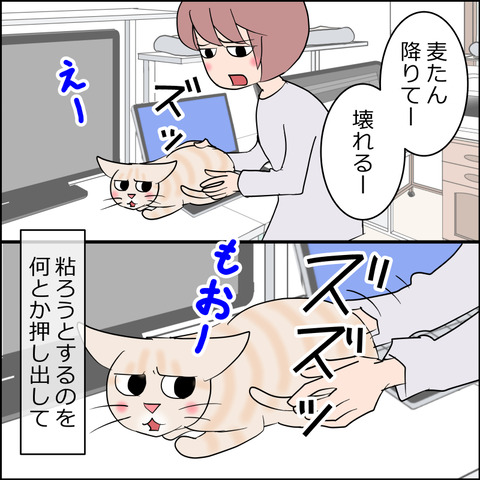 あんこ&麦STORY2377b