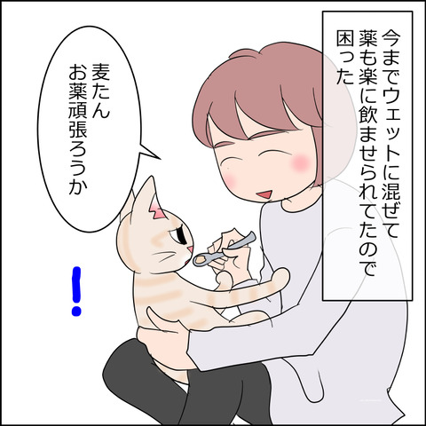 あんこ＆麦kenko110d