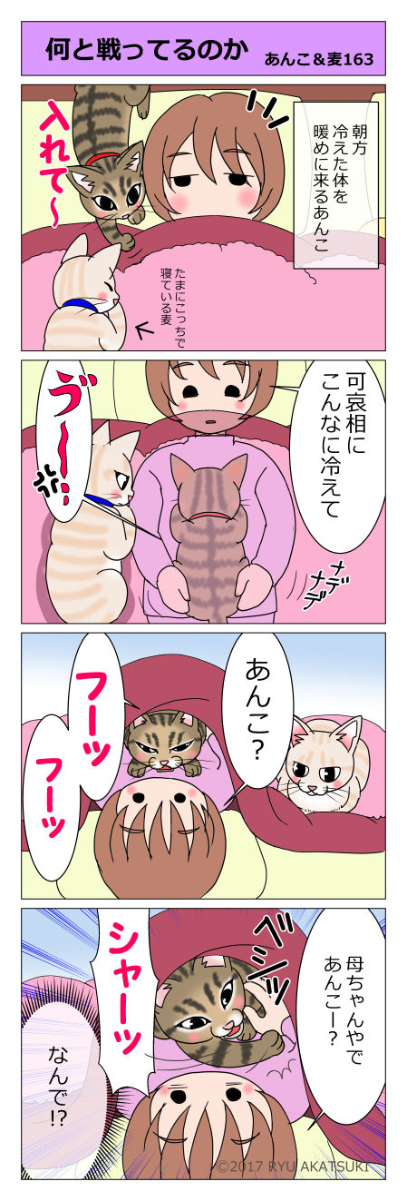 あんこ&麦STORY163