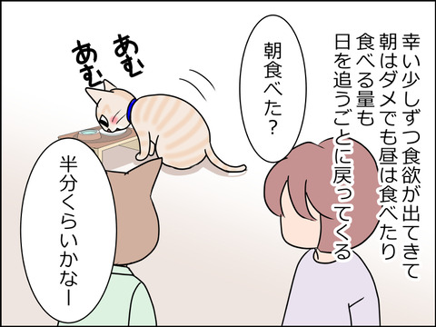 あんこ&麦STORY1487c