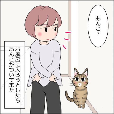 あんこ＆麦STORY2447a