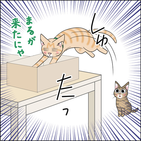 あんこ＆麦STORY2269b