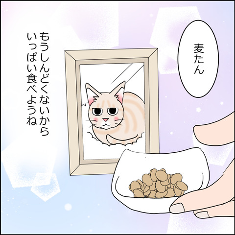 mugitabi002d