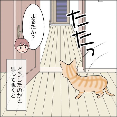 あんこ&麦STORY2480c