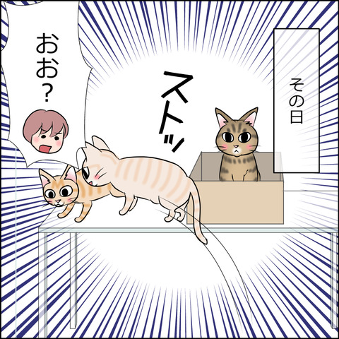 あんこ＆麦STORY1903b
