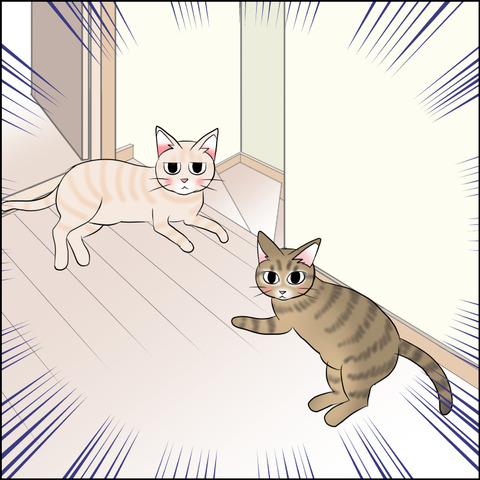 あんこ&麦STORY2144b