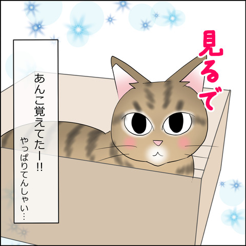 あんこ&麦STORY2232d