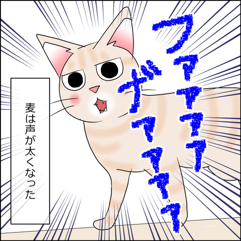 あんこ&麦kenko146d